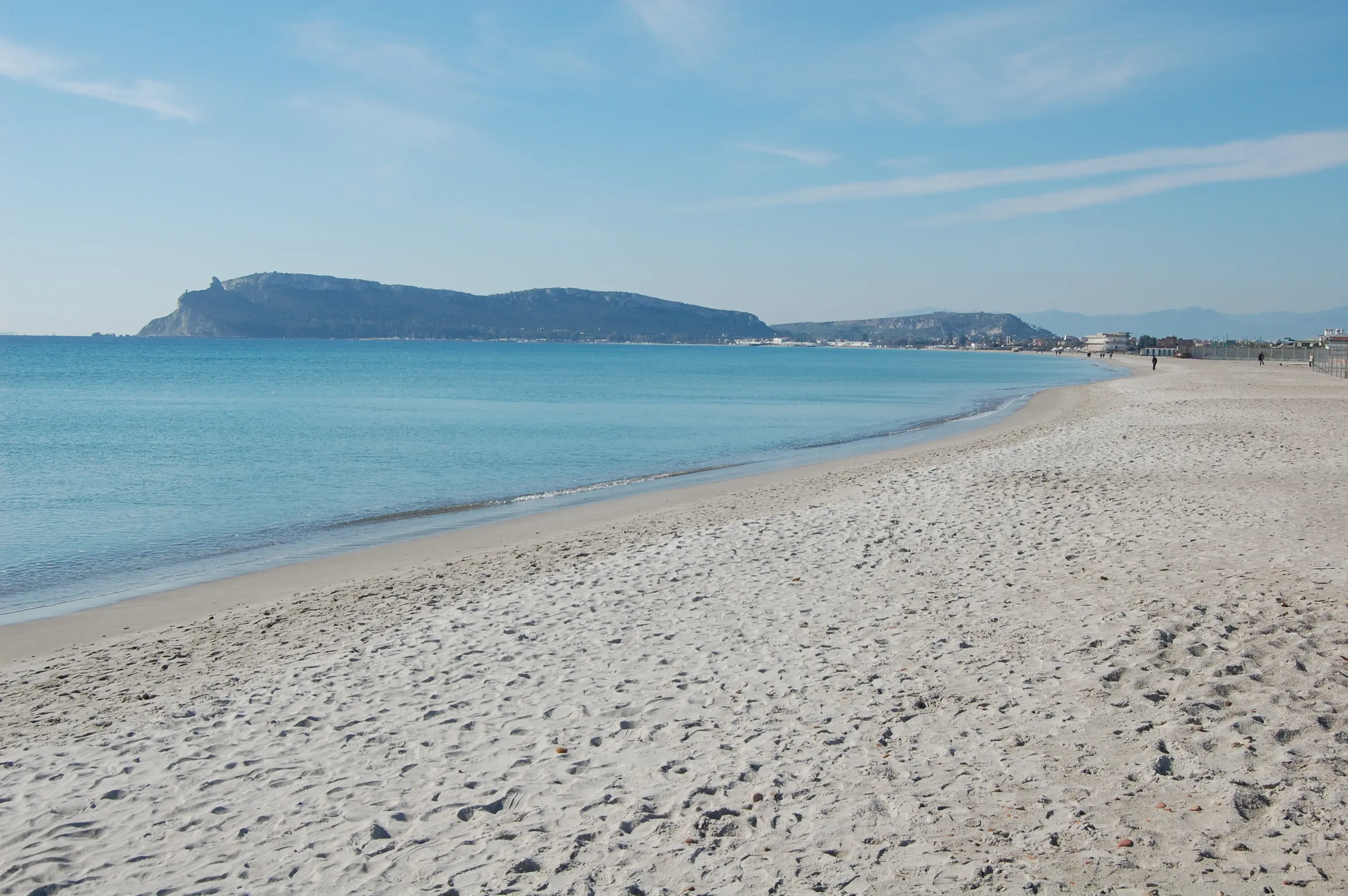 Hund am Strand Sardinien